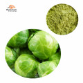 wholesale brussels sprout powder